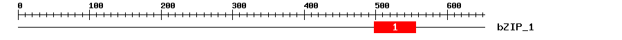 Signature Domain