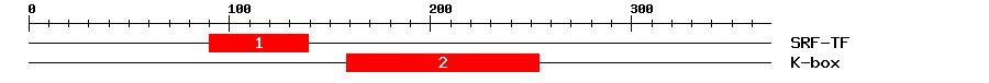 Signature Domain