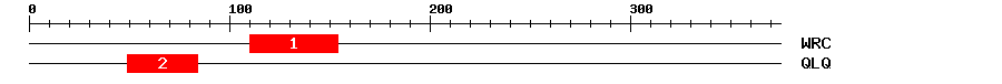 Signature Domain