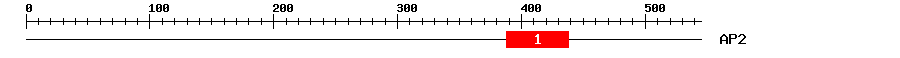 Signature Domain