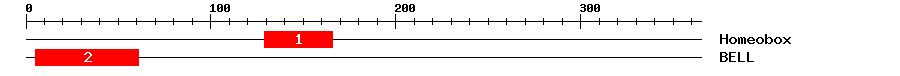 Signature Domain