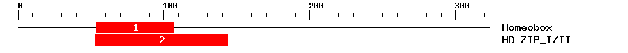 Signature Domain