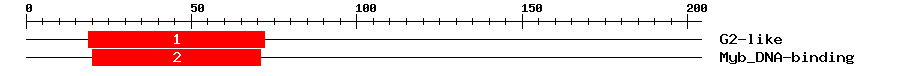 Signature Domain