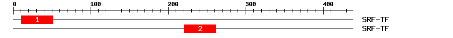Signature Domain