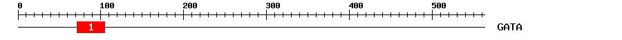 Signature Domain