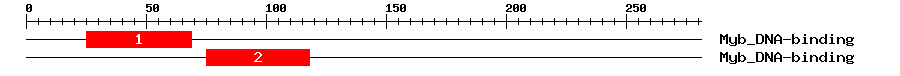 Signature Domain
