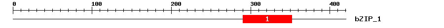 Signature Domain