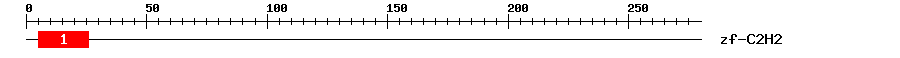 Signature Domain