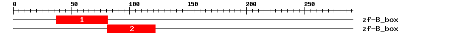 Signature Domain