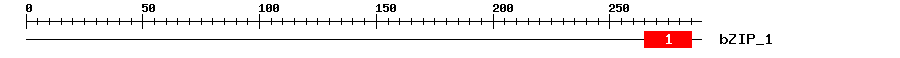Signature Domain