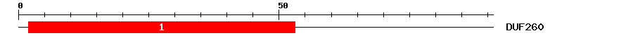 Signature Domain
