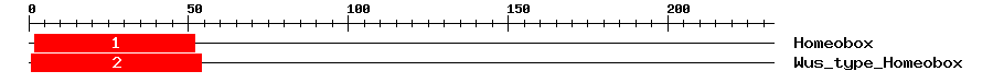 Signature Domain