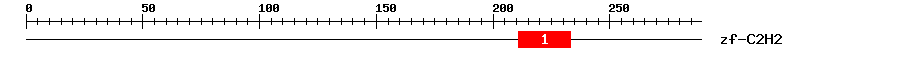 Signature Domain