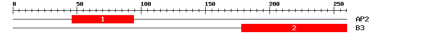 Signature Domain