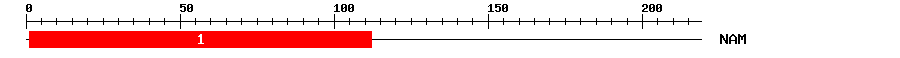 Signature Domain