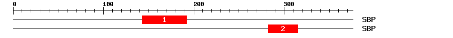 Signature Domain