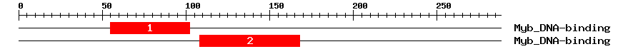 Signature Domain