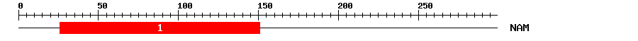 Signature Domain