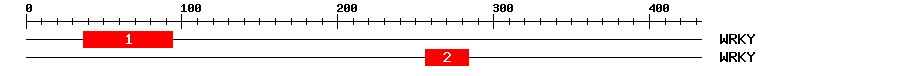 Signature Domain