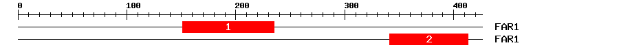 Signature Domain