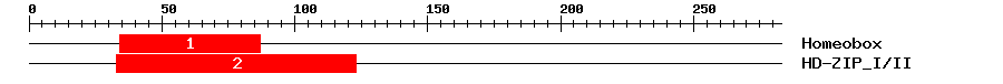 Signature Domain