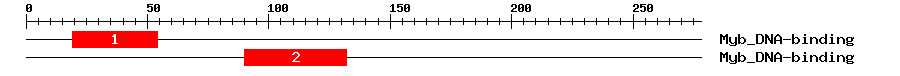 Signature Domain