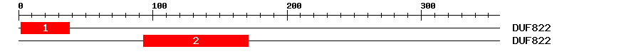 Signature Domain