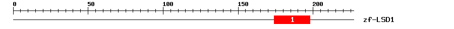 Signature Domain
