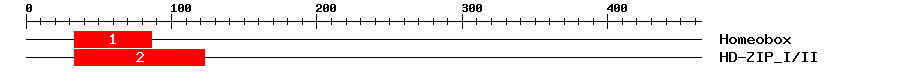 Signature Domain