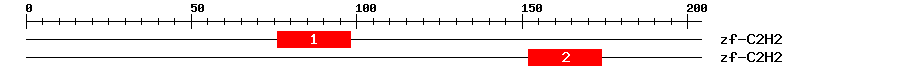 Signature Domain