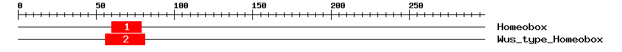 Signature Domain