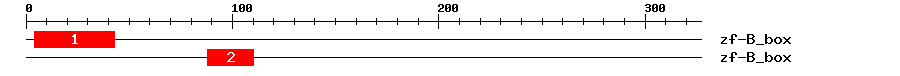 Signature Domain