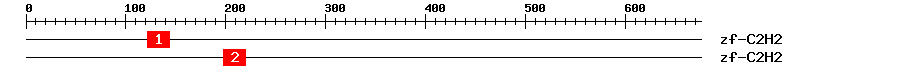 Signature Domain