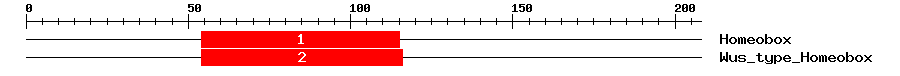 Signature Domain