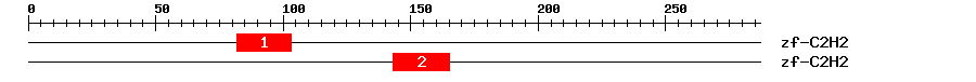 Signature Domain