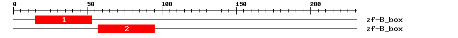 Signature Domain