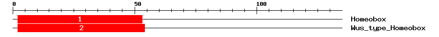 Signature Domain