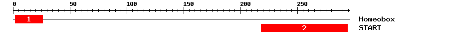 Signature Domain