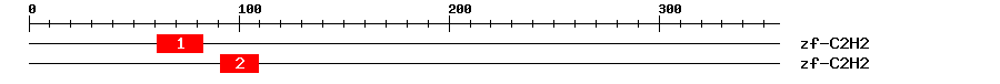 Signature Domain