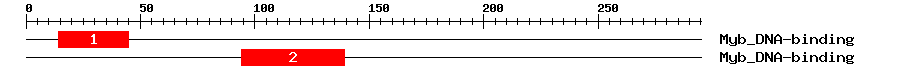 Signature Domain