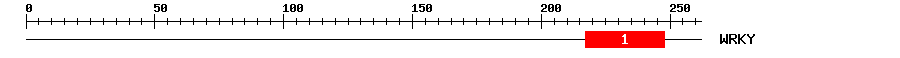 Signature Domain