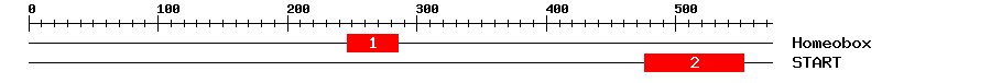 Signature Domain