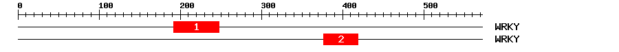 Signature Domain