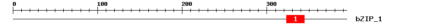 Signature Domain