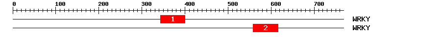 Signature Domain