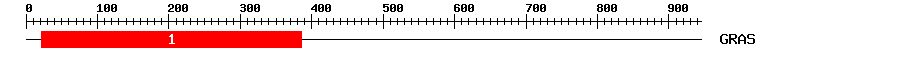 Signature Domain