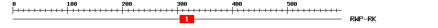 Signature Domain