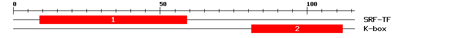 Signature Domain