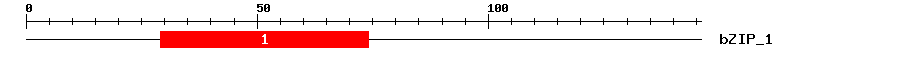 Signature Domain