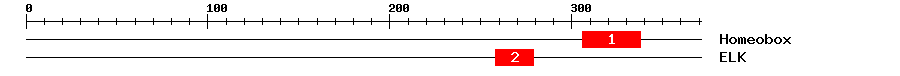 Signature Domain